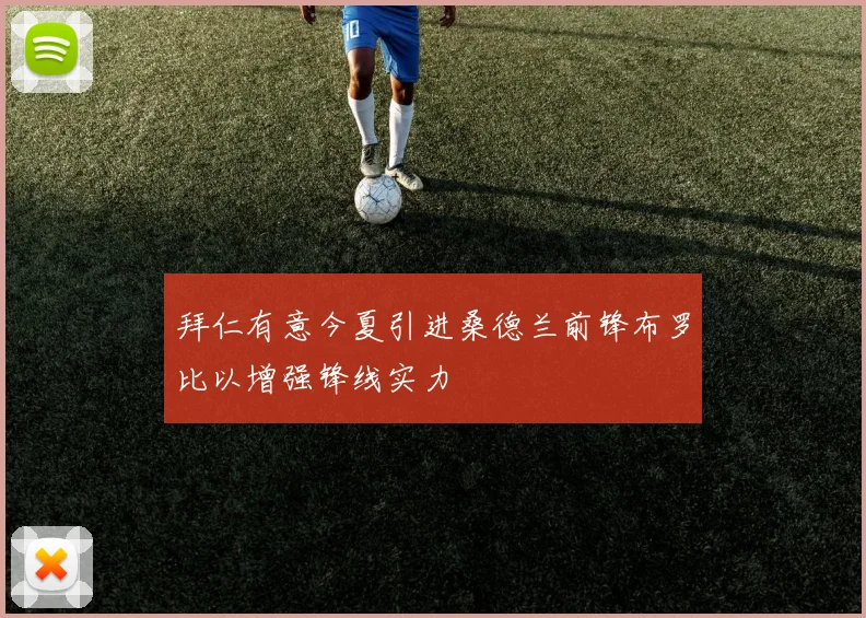拜仁有意今夏引进桑德兰前锋布罗比以增强锋线实力